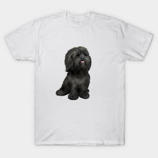 Adorable Black Shih Tzu T-Shirt